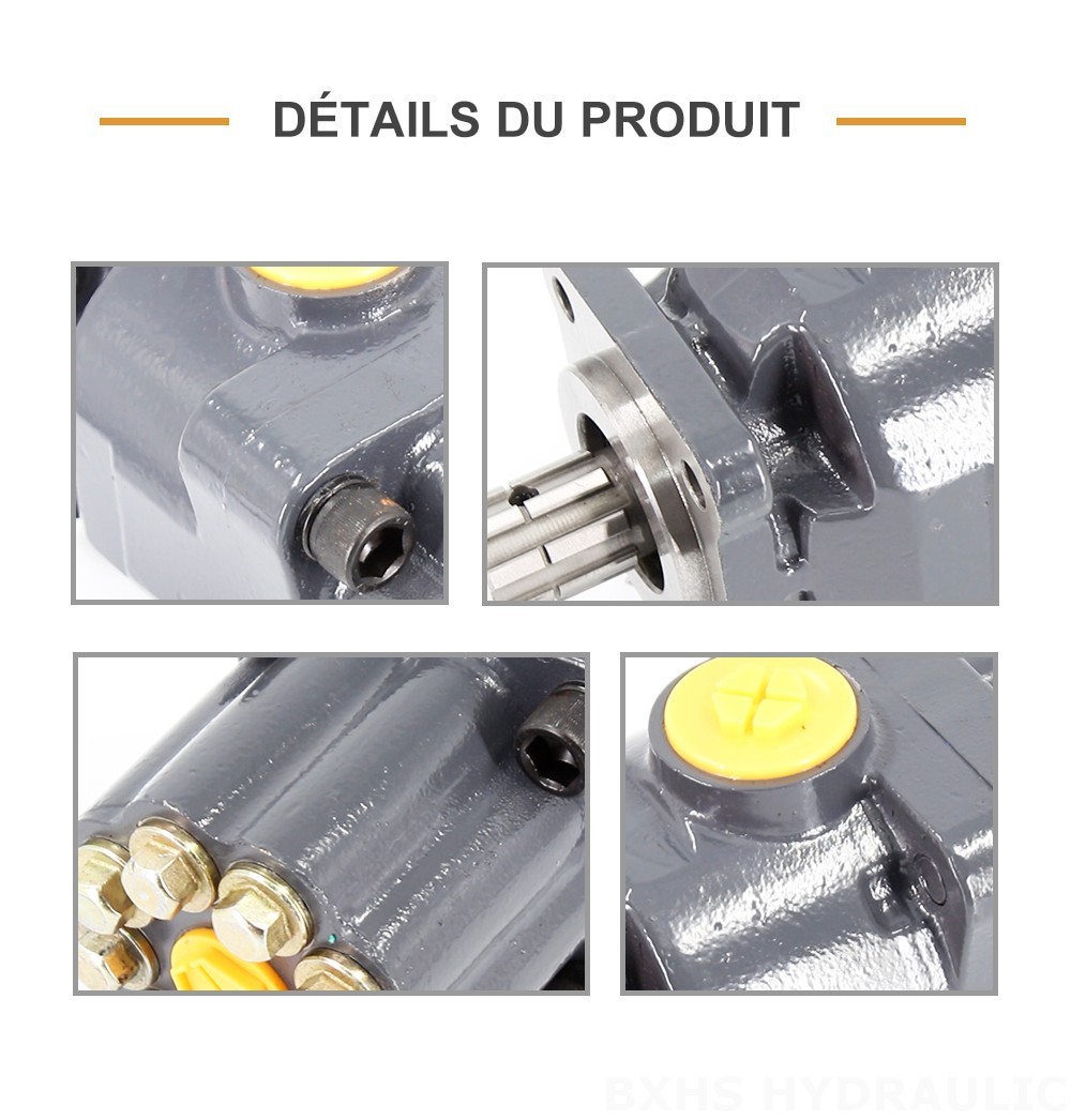 P9-80-H 80 cm3/tr 20 MPa (2900 psi) Pompe hydraulique à pistons