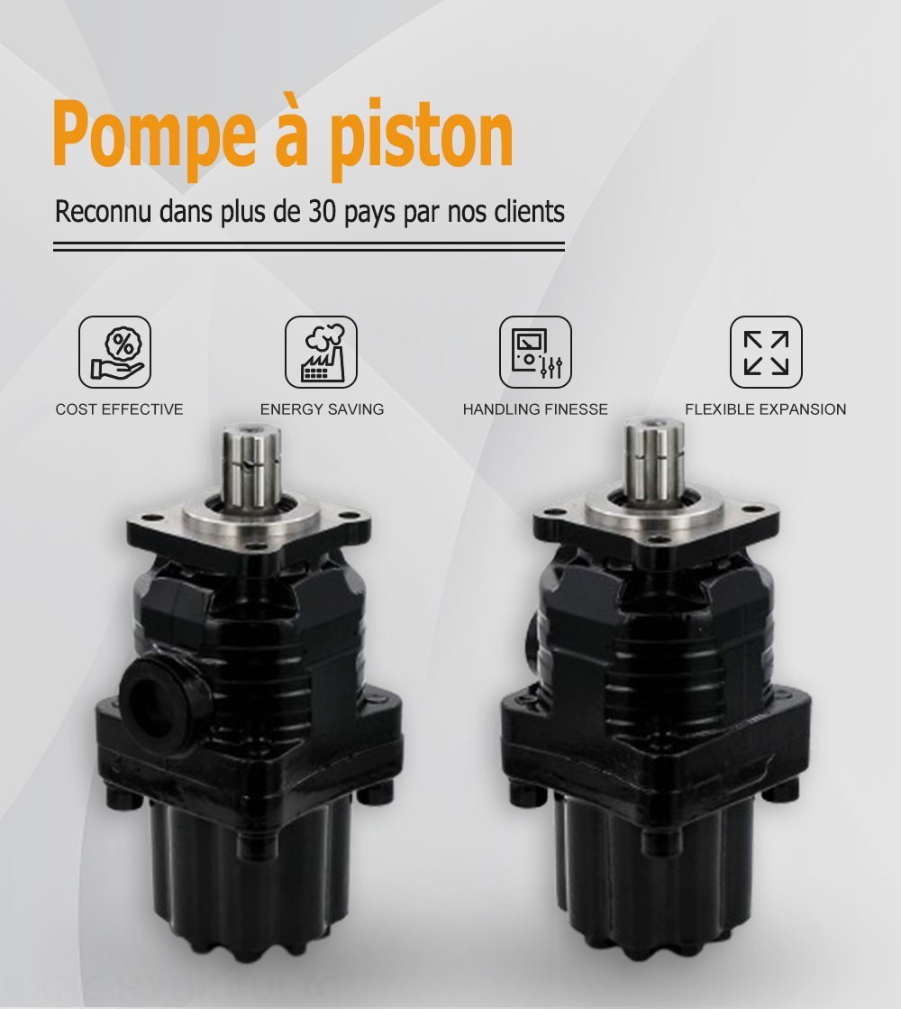 P9-80 80 cm3/tr Pompe hydraulique à pistons