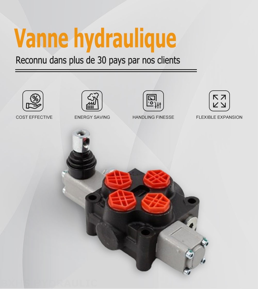 Q45 Manuel 1 distributeur Distributeur directionnel monobloc