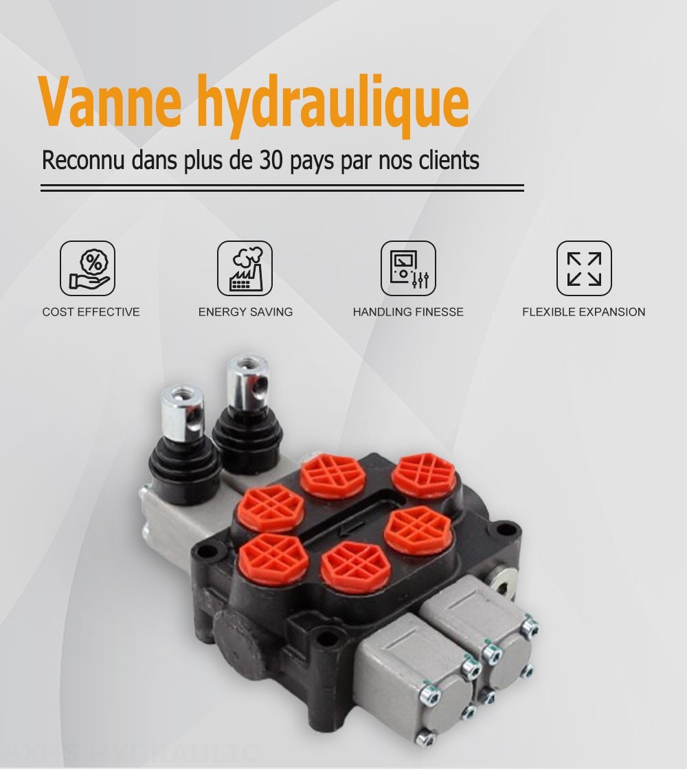 Q45 Manuel 2 distributeurs Distributeur directionnel monobloc