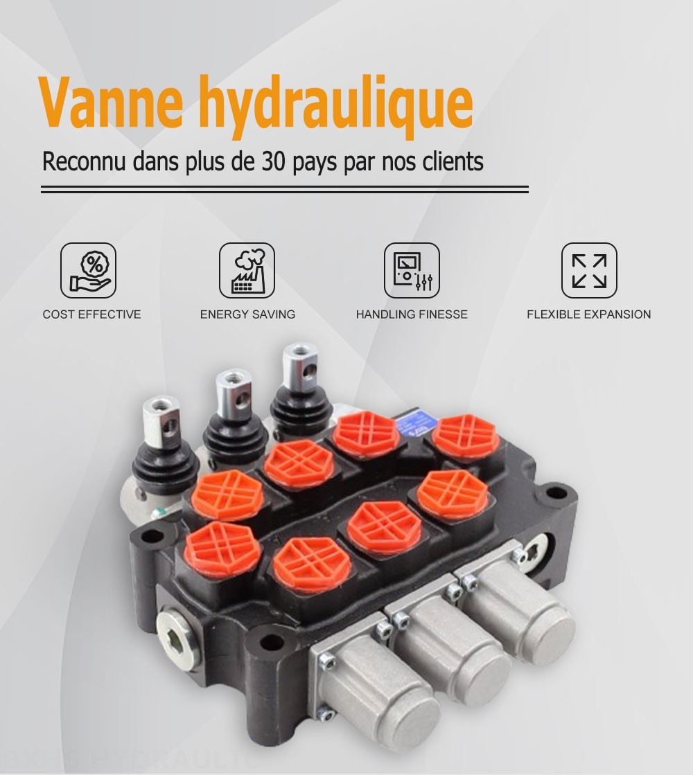 Q95 Manuel 3 distributeurs Distributeur directionnel monobloc