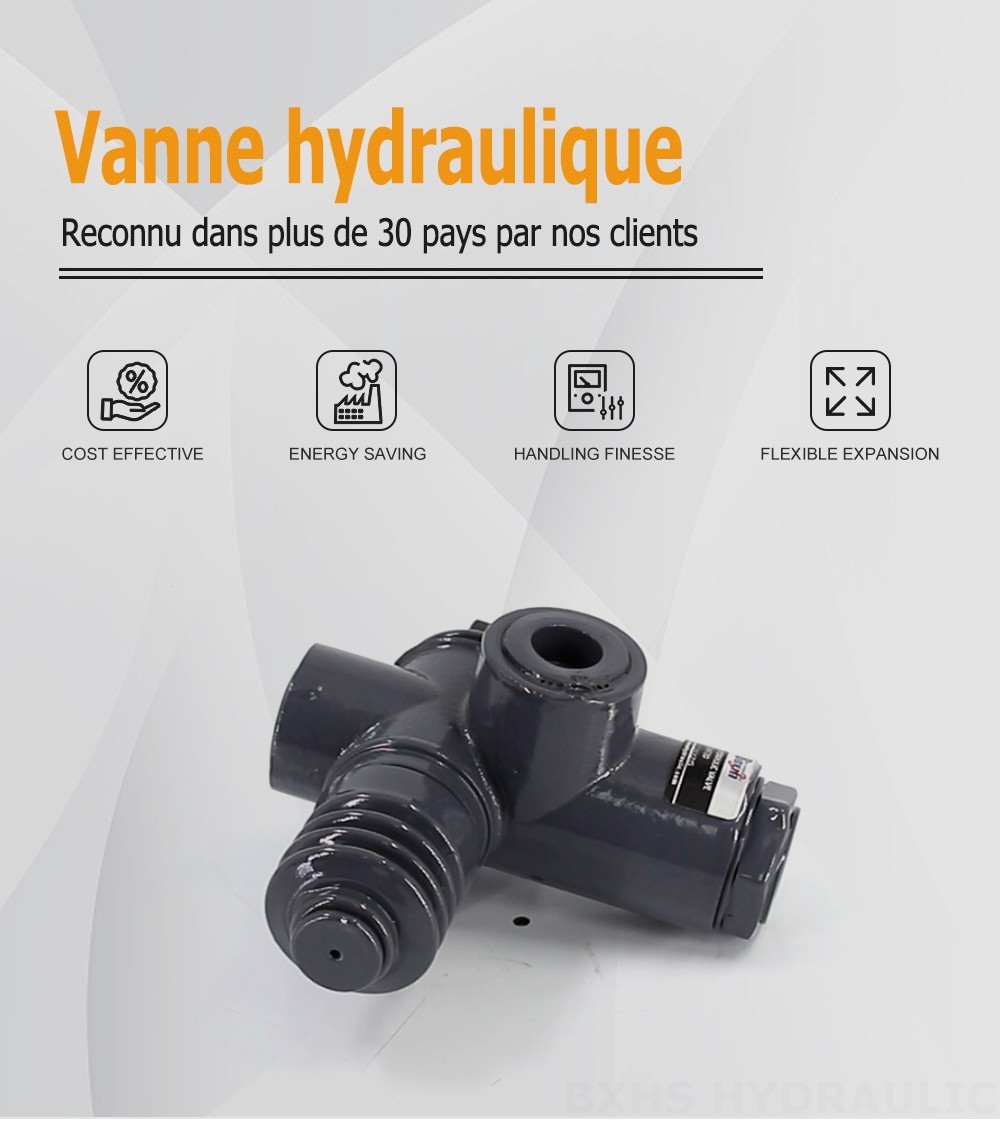 QHF20  Manuel 1 distributeur Vanne directionnelle monobloc