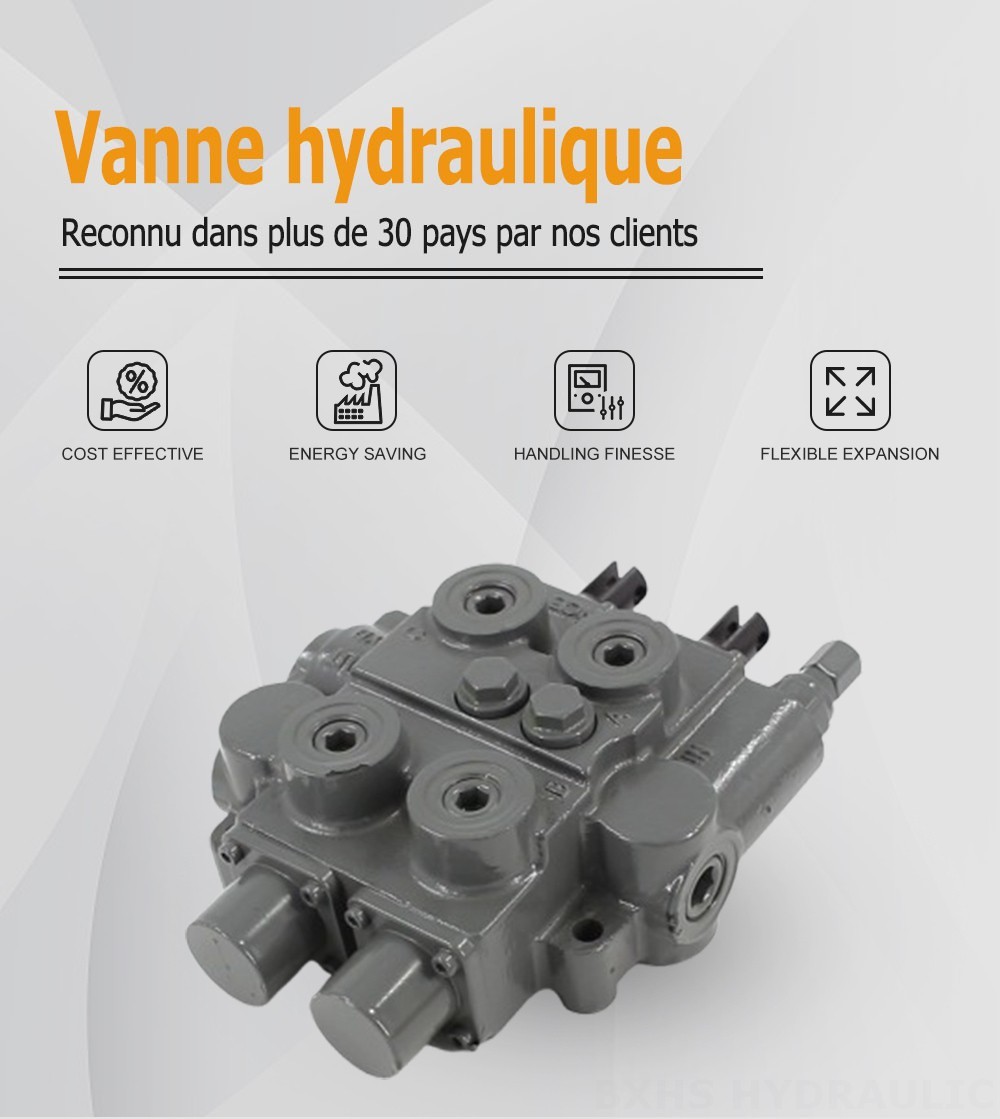 RD5200-H Manuel 2 distributeurs Vanne de Contrôle Hydraulique