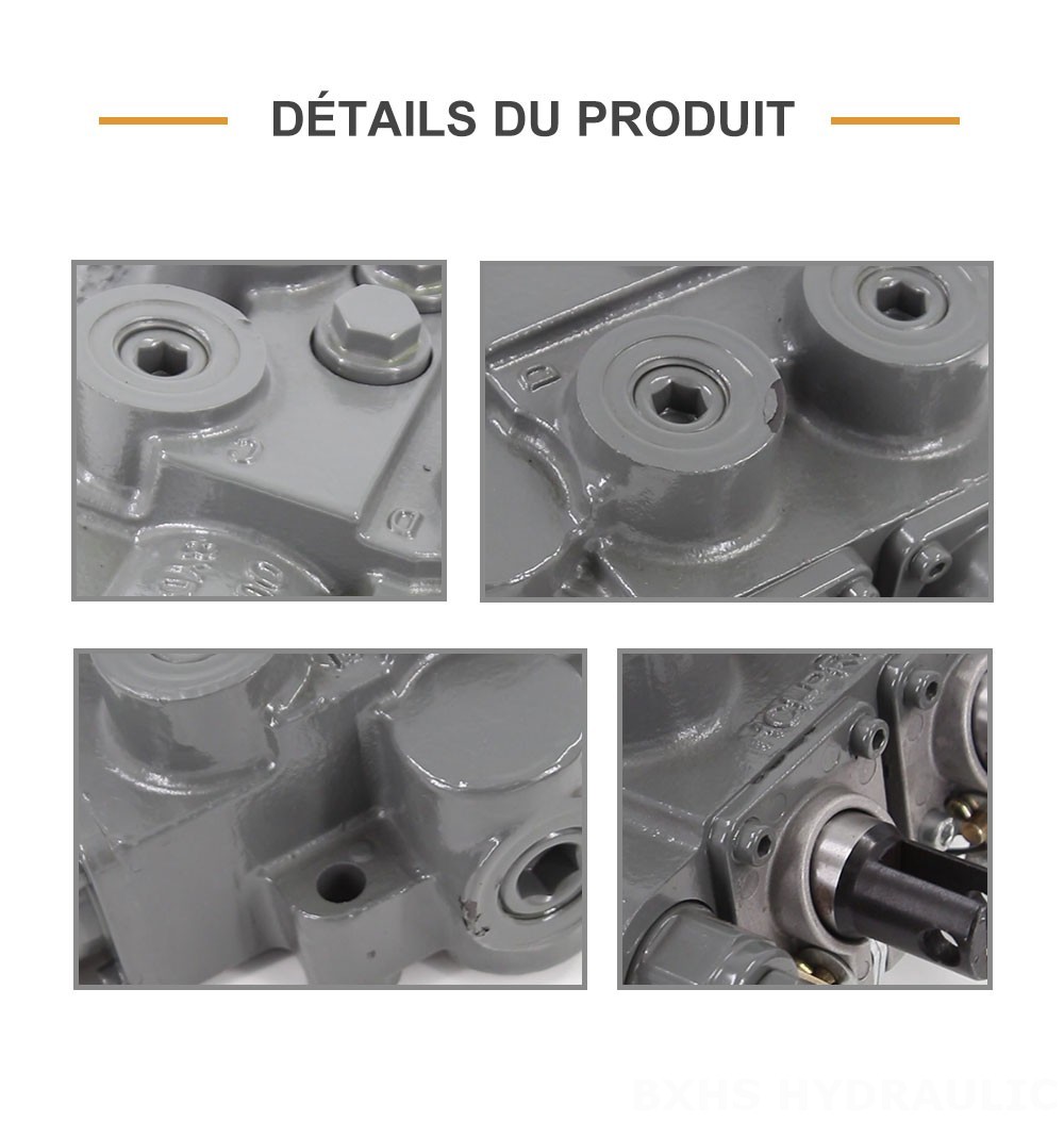 RD5200-H Manuel 2 distributeurs Vanne de Contrôle Hydraulique