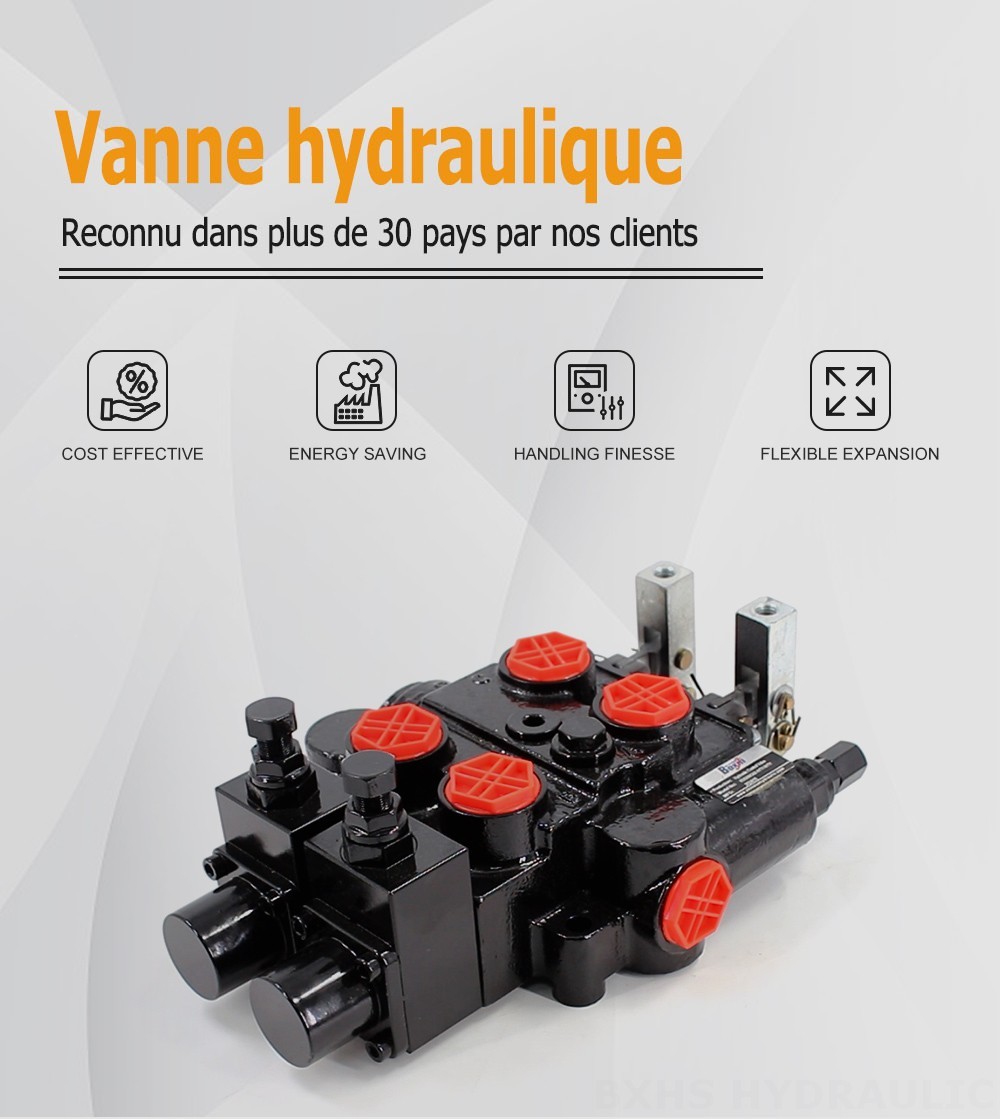 RD5200-OU2 Manuel 2 distributeurs Vanne de Contrôle Hydraulique
