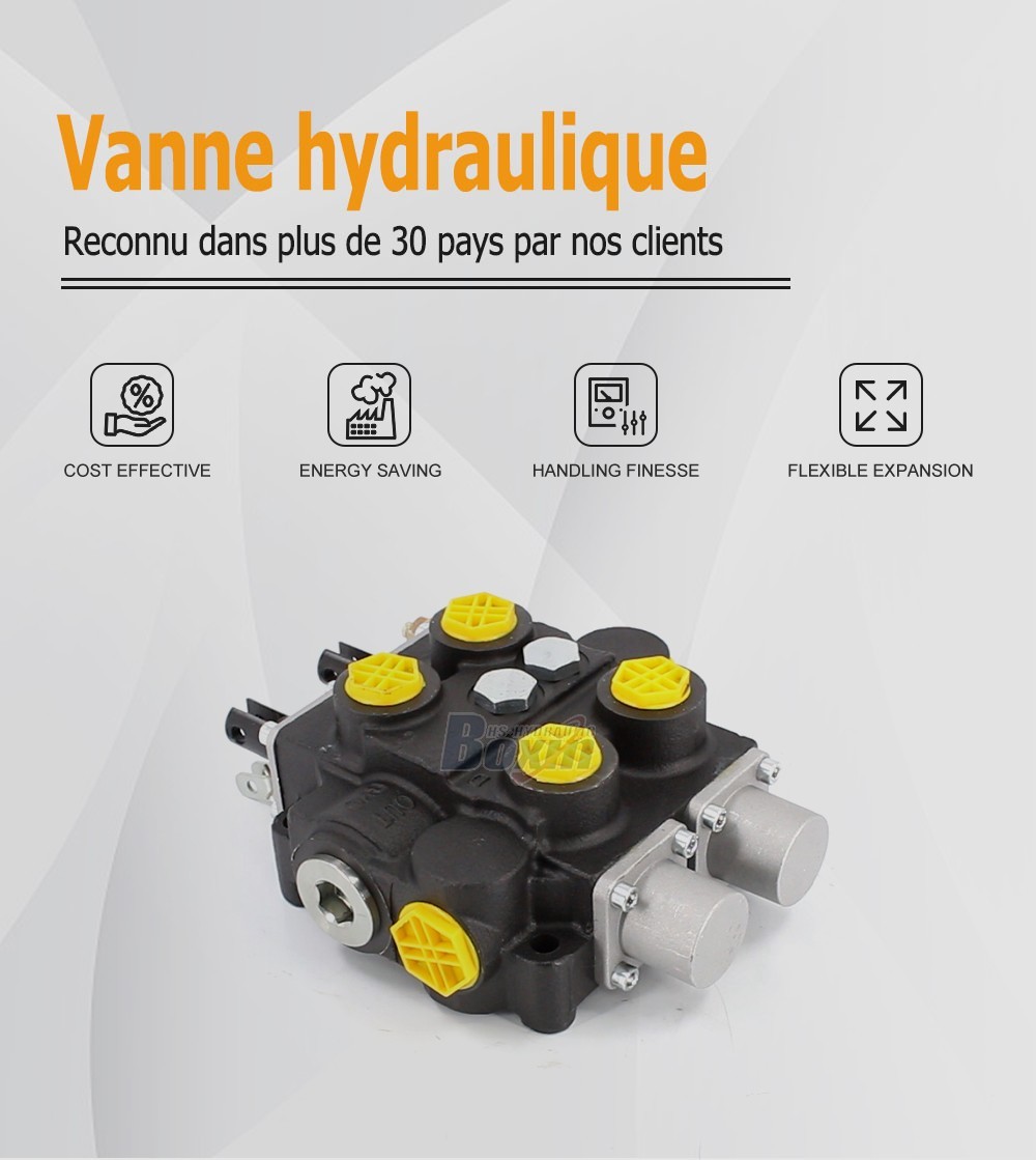 Bulk Order RD5200NPT-2OT 2 Spool Hydraulic Valve Factory Supply