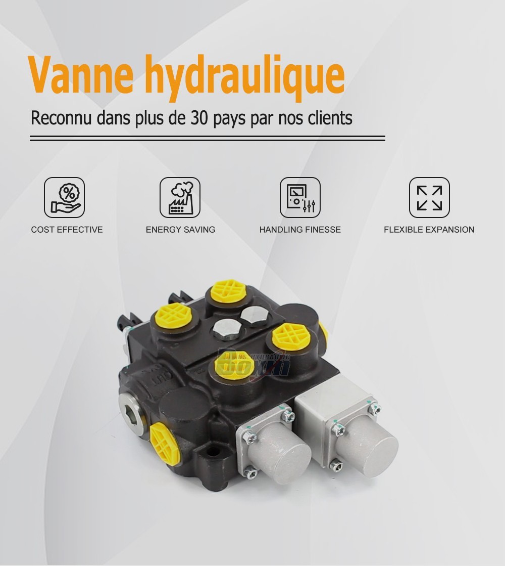 Industrial Grade RD5200NPT-QTW-OT Manual Hydraulic Valve with NPT Ports