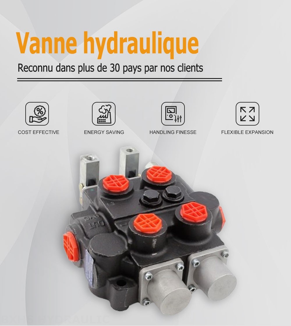 RD5200 Manuel 2 distributeurs Vanne de commande hydraulique