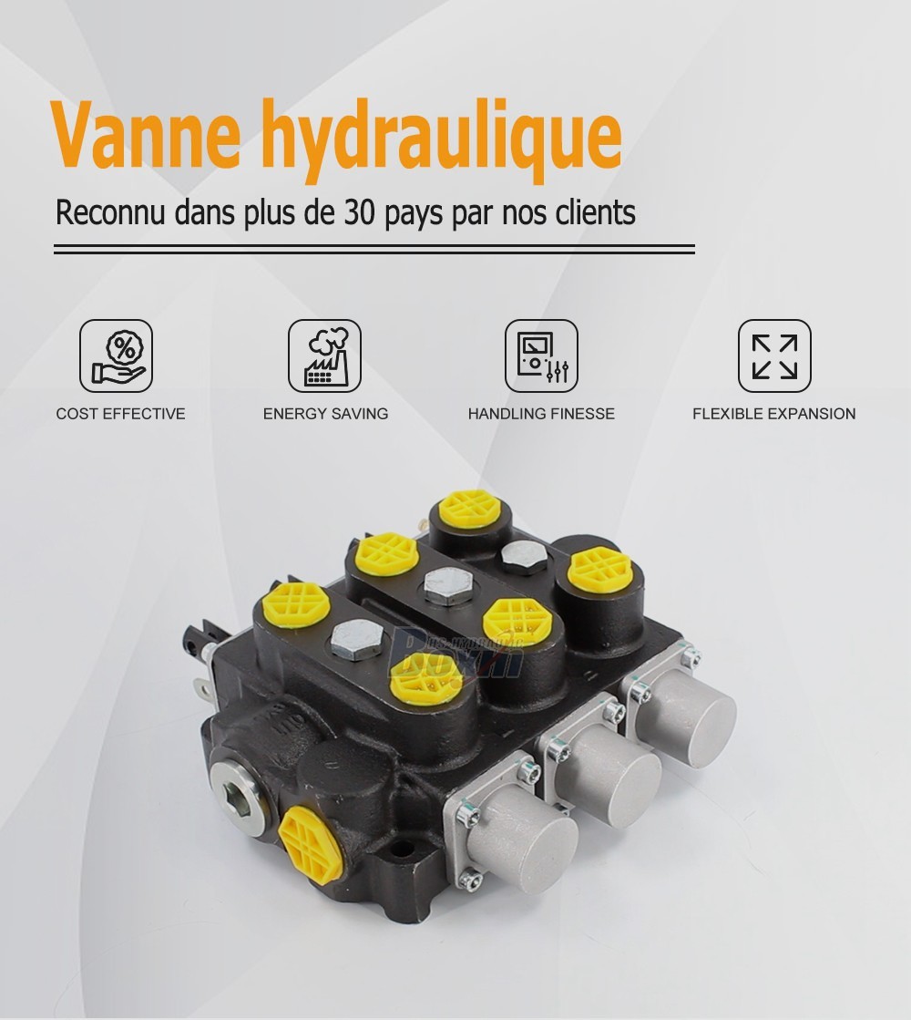 Factory Source RD5300NPT-3OT 3 Spool Manual Hydraulic Valve for Global Market