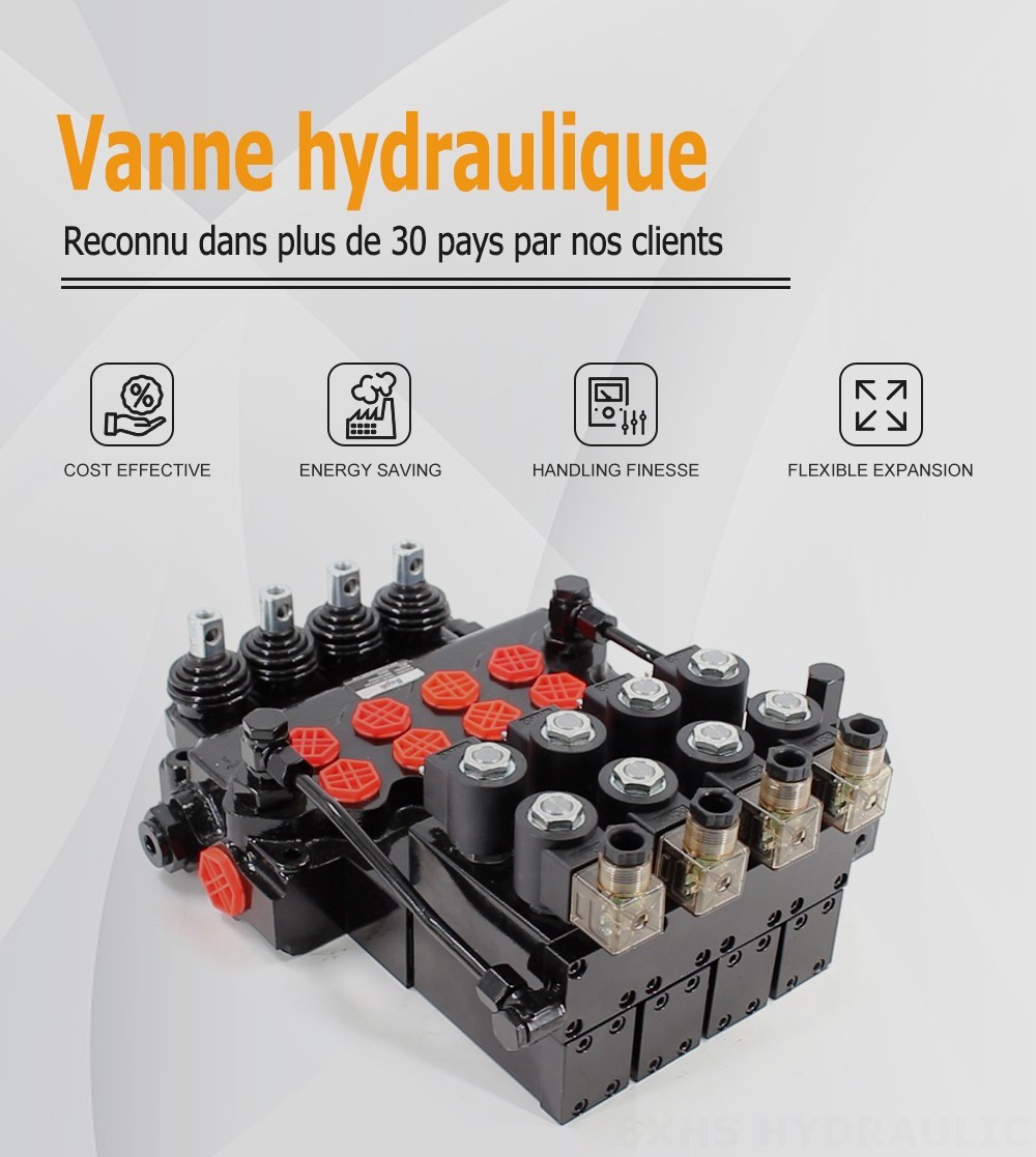 SD11-PG2 Électro-hydraulique 4 distributeurs Vanne directionnelle monobloc