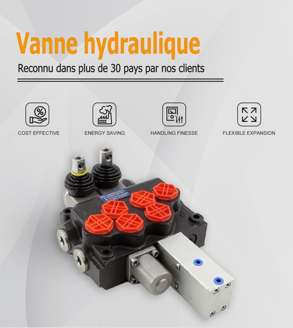 SD11 Manuel 1 distributeur Distributeur directionnel monobloc