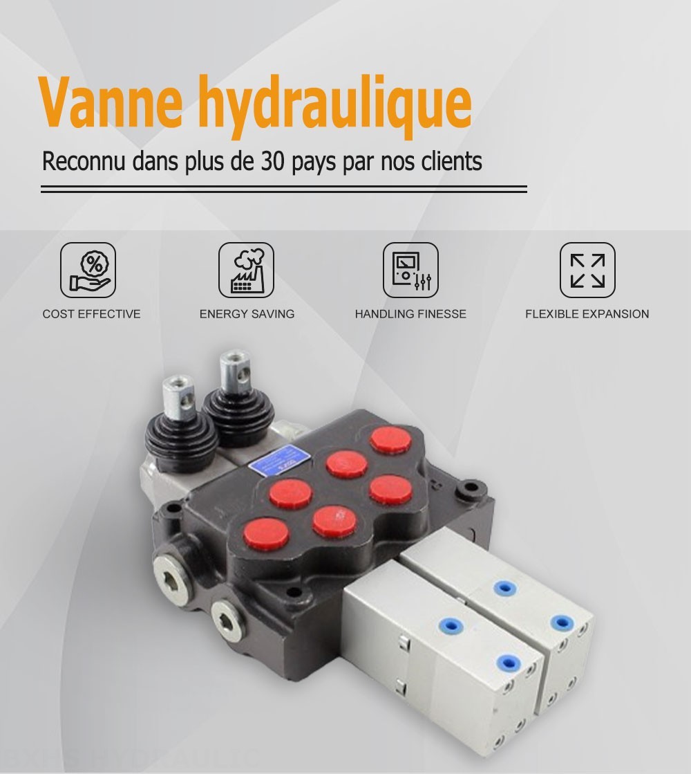 SD11 Pneumatique 2 distributeurs Distributeur directionnel monobloc