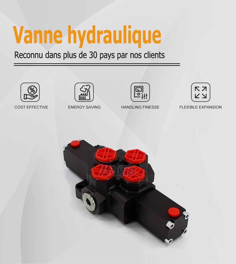 SD14Y-OT Hydraulique 1 tiroir Vanne directionnelle monobloc