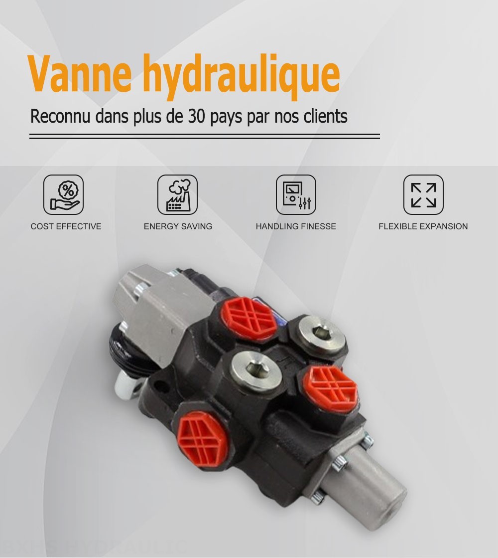 SD14 Manuel 1 distributeur Distributeur directionnel monobloc