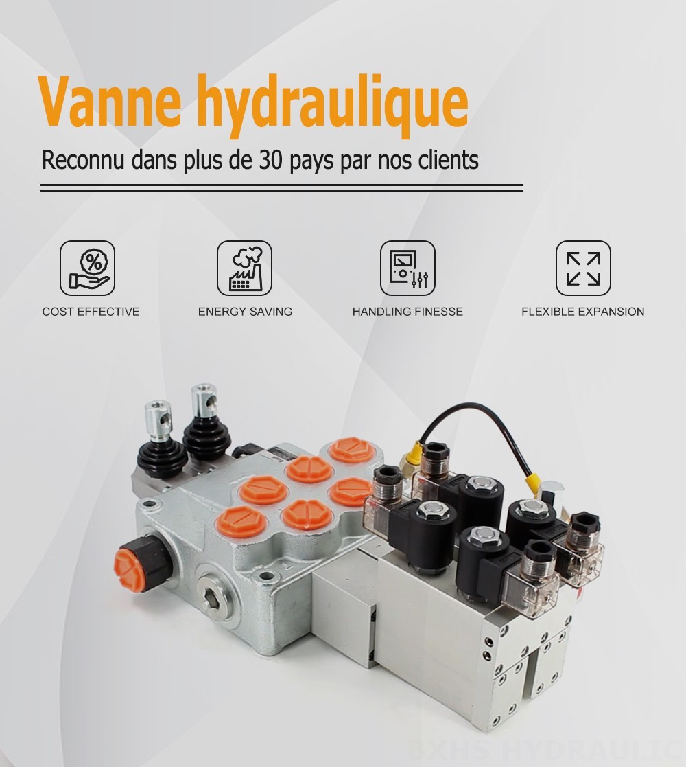 SD18 Électrique 2 distributeurs Vanne directionnelle monobloc