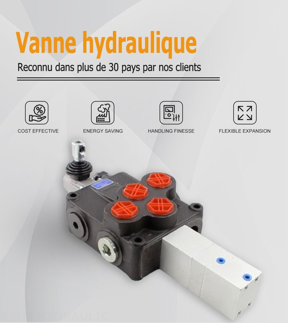 SD18 Pneumatique 1 distributeur Distributeur directionnel monobloc