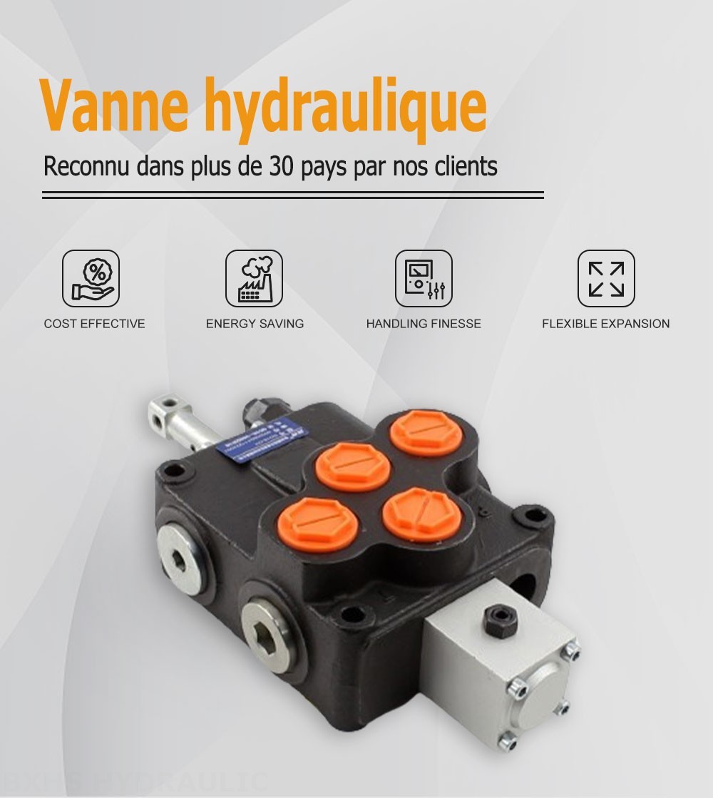 SD18 Manuel 1 distributeur Distributeur directionnel monobloc