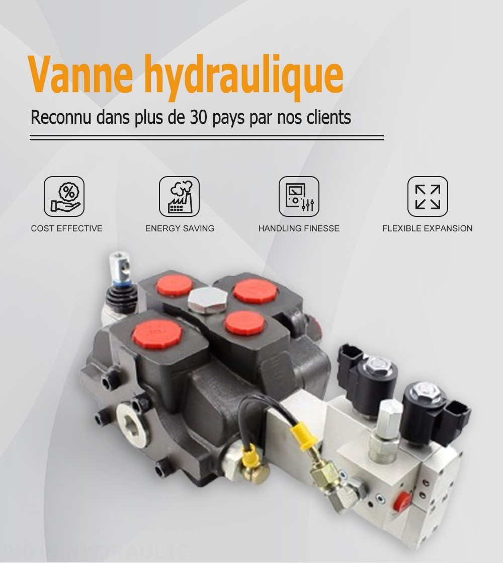 SD25 Électro-hydraulique 1 distributeur Distributeur directionnel sectionnel