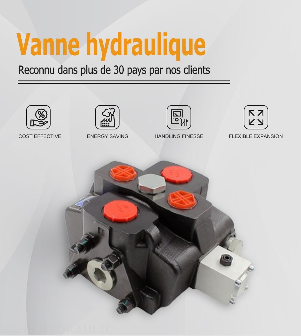 SD25 Manuel 1 distributeur Distributeur directionnel sectionnel