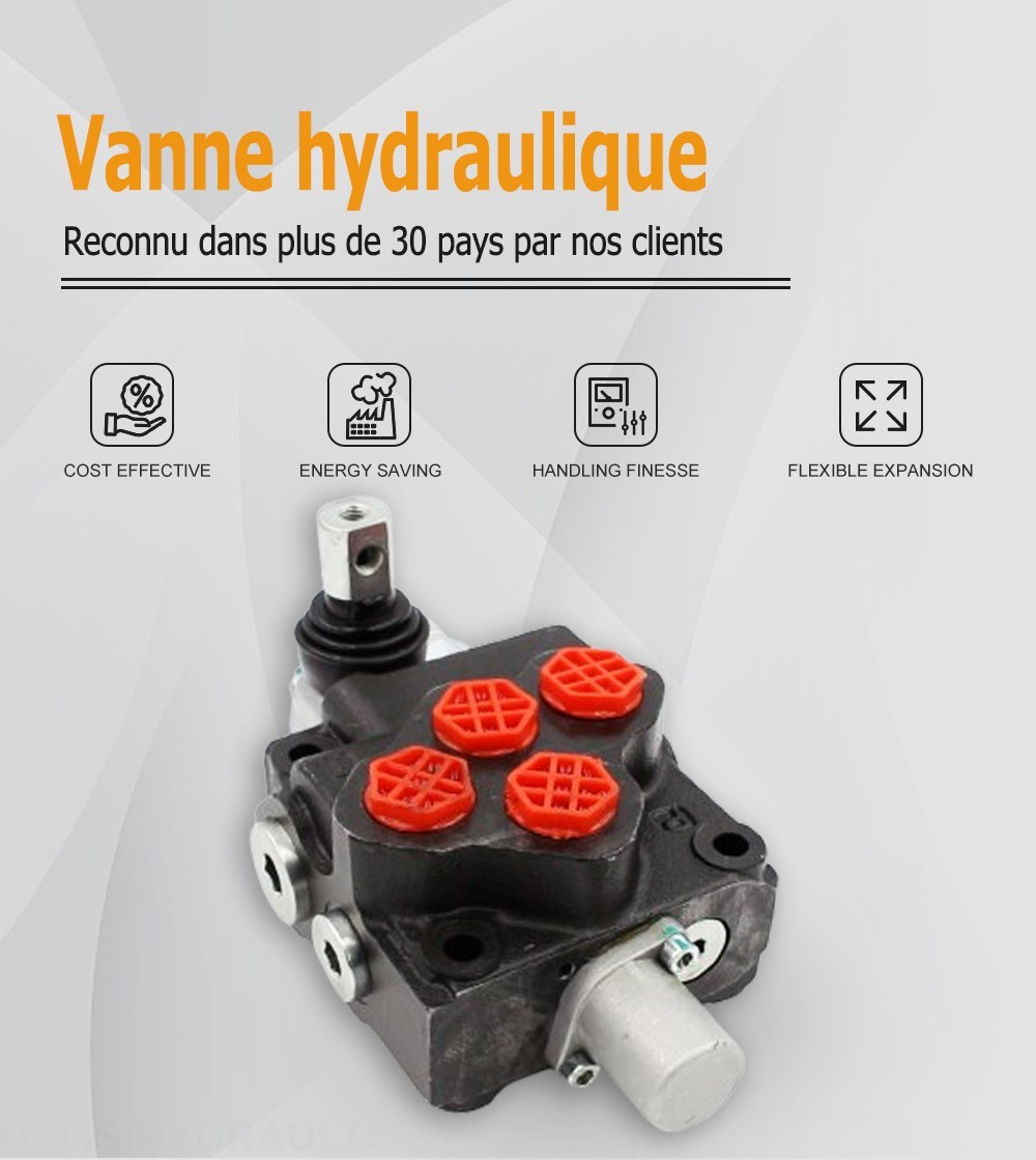 SD5-G38 Manuel 1 distributeur Distributeur directionnel monobloc