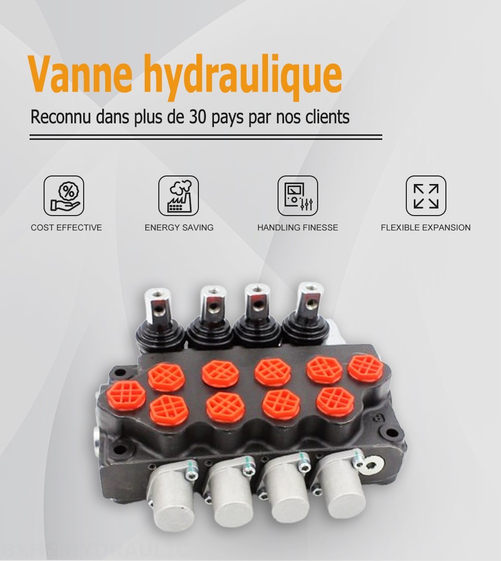 SD5-G38 Manuel 4 distributeurs Distributeur directionnel monobloc