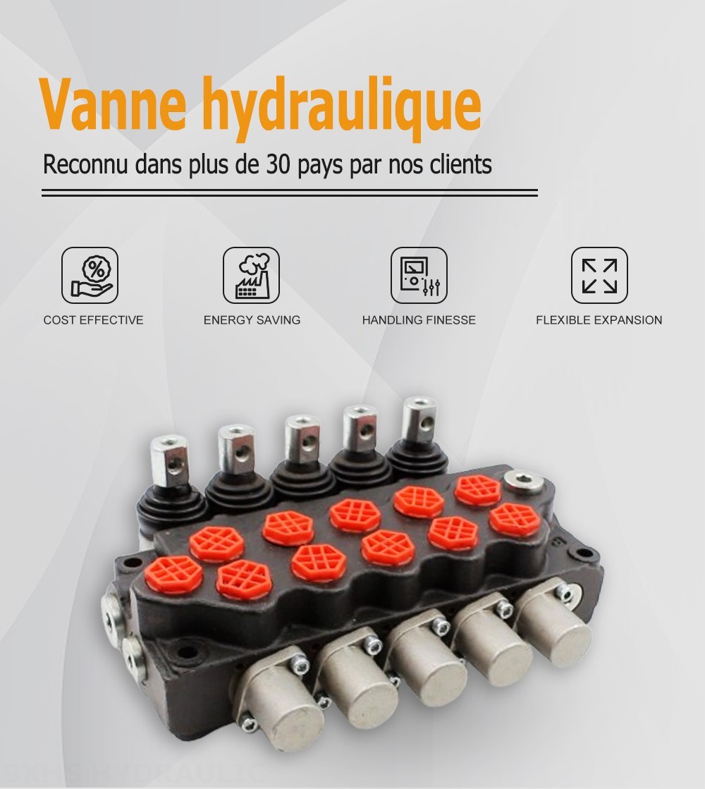 SD5-G38 Manuel 5 distributeurs Distributeur directionnel monobloc