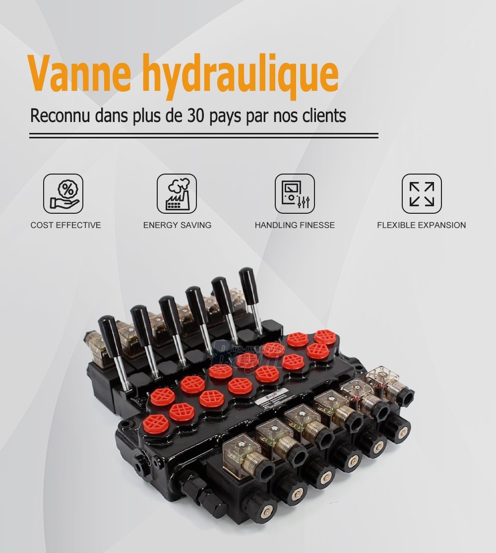 SD5-PG2 Solénoïde 6 tiroirs Vanne directionnelle monobloc
