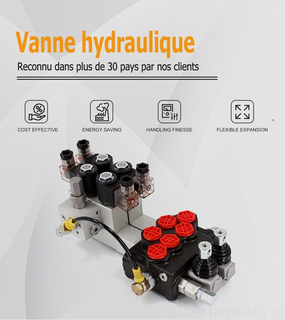 SD5 Électro-hydraulique 2 distributeurs Vanne directionnelle monobloc