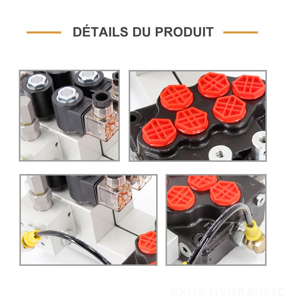 SD5 Électro-hydraulique 2 distributeurs Vanne directionnelle monobloc