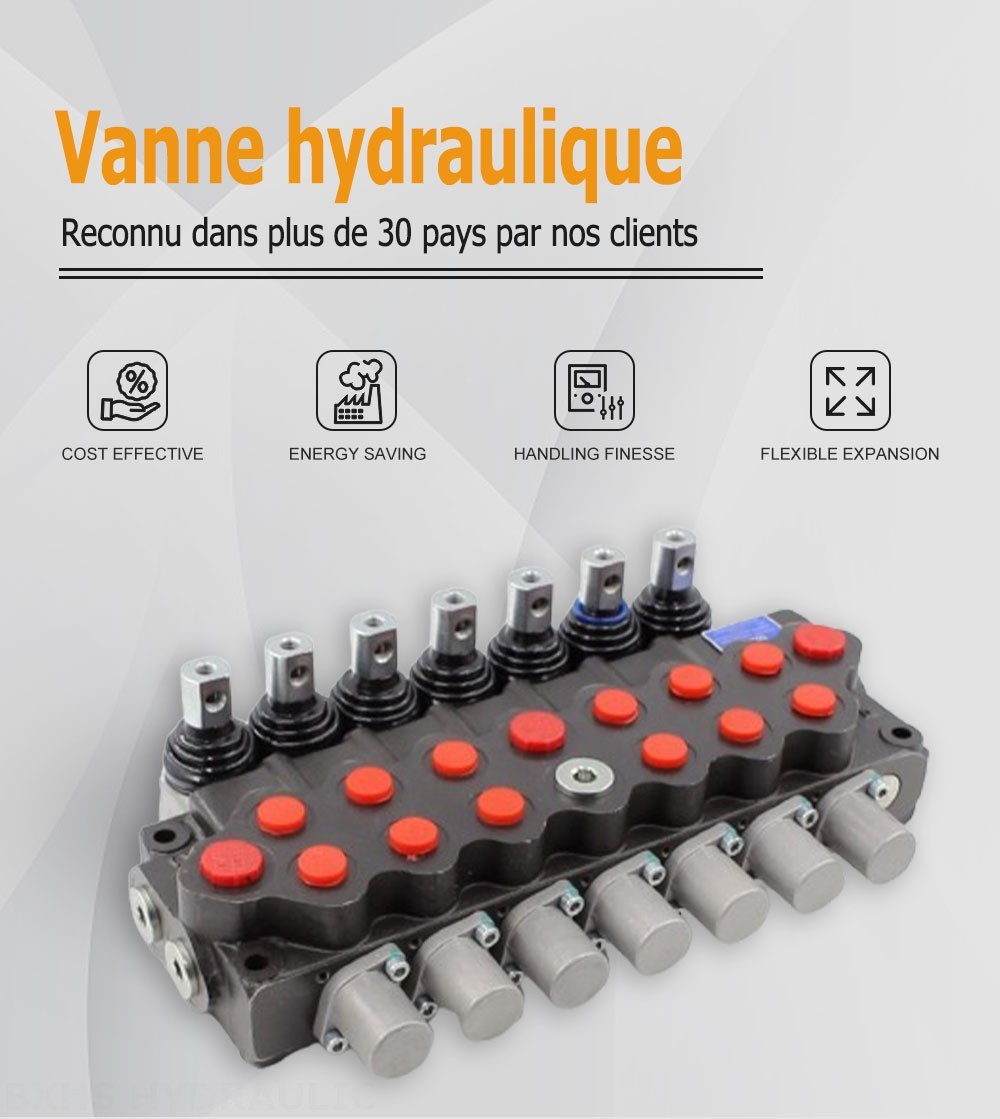 SD5 Manuel 7 distributeurs Distributeur directionnel monobloc