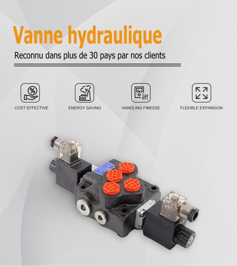 SD5 Solénoïde 1 distributeur Distributeur directionnel monobloc