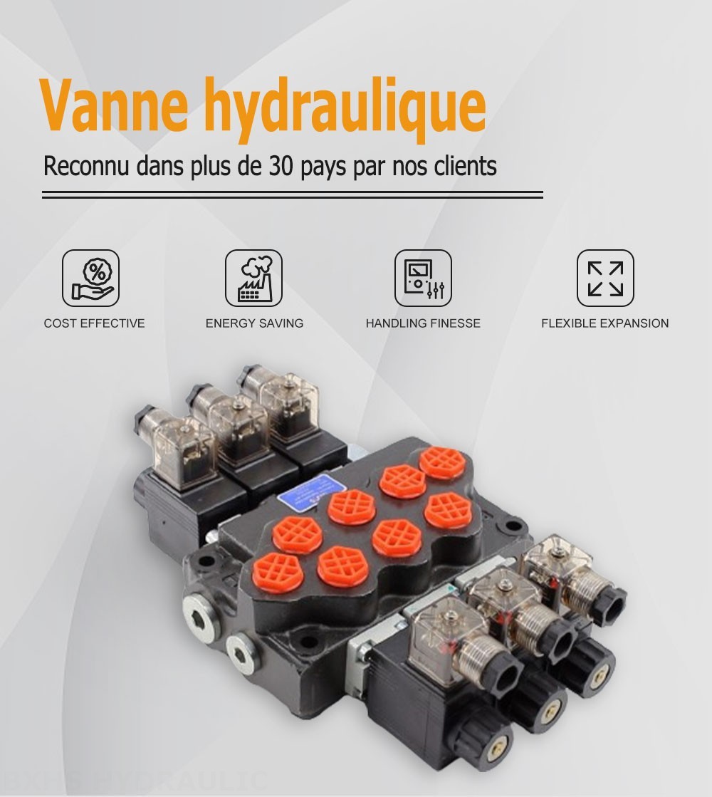 SD5 Solénoïde 3 distributeurs Distributeur directionnel monobloc