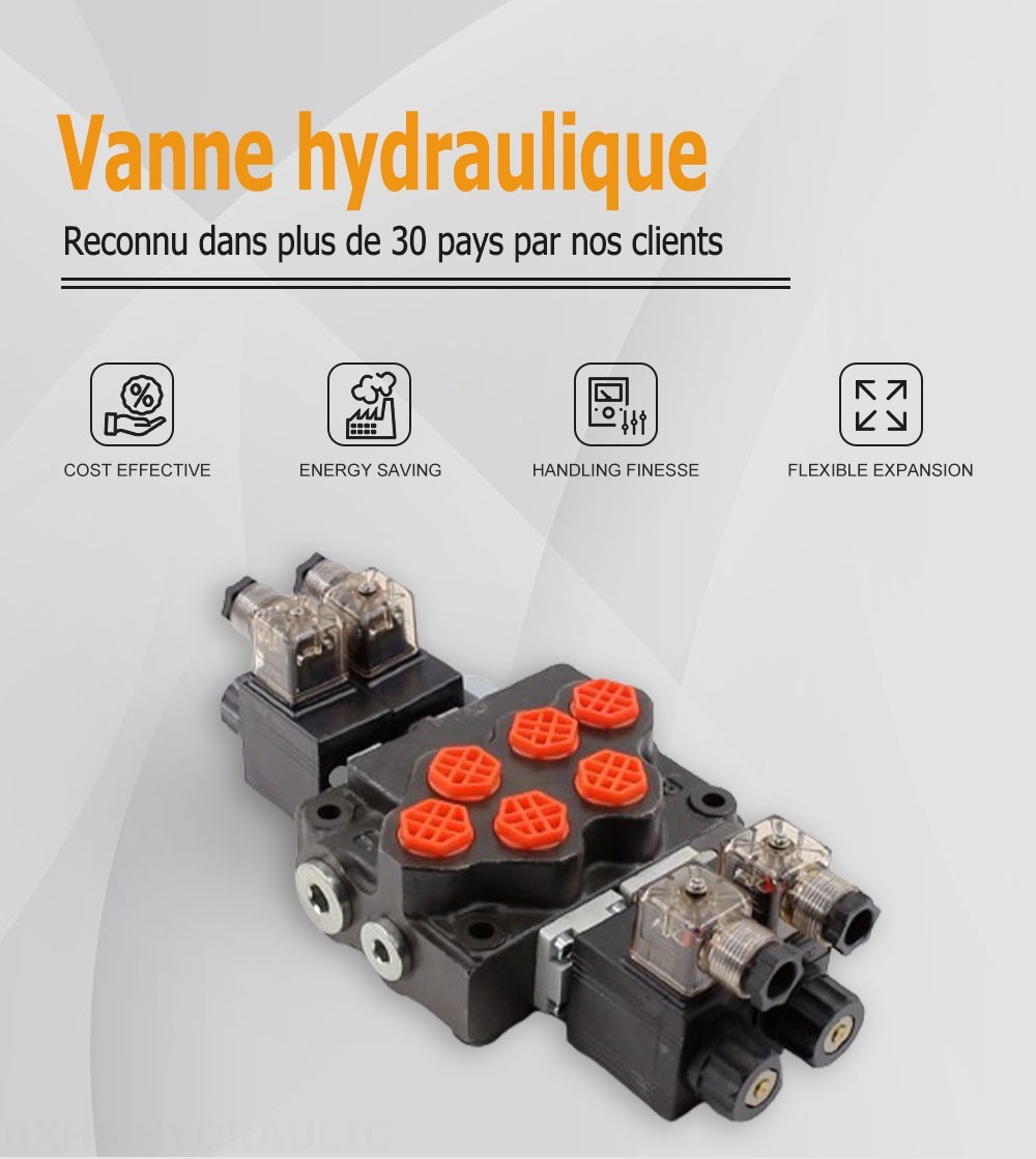 SD5 Solénoïde 2 distributeurs Distributeur directionnel monobloc