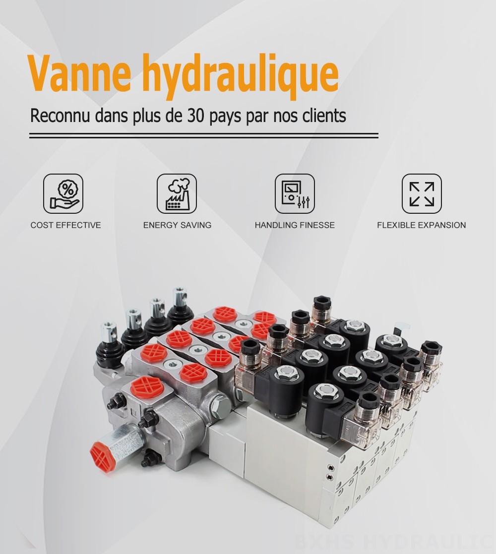 SD8 Électro-hydraulique 4 distributeurs Distributeur directionnel sectionnel