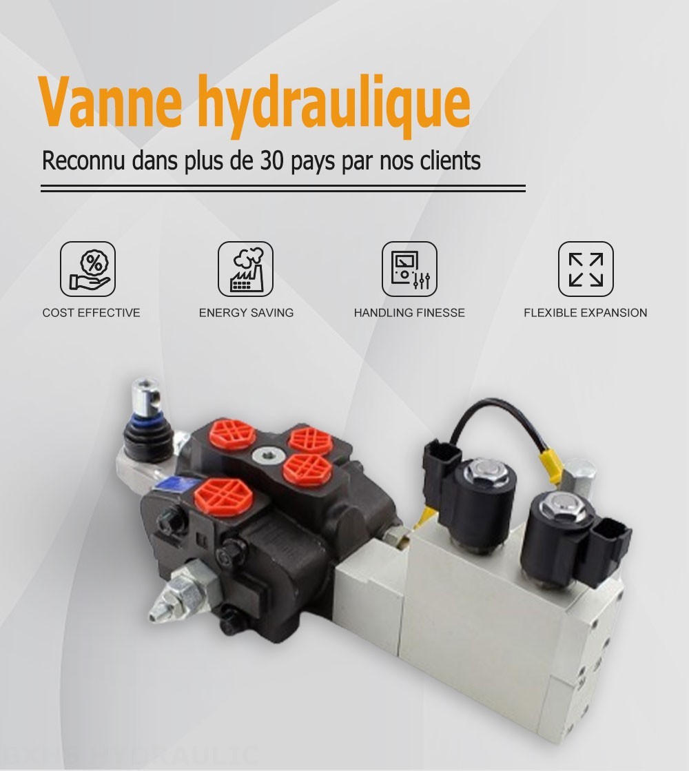 SD8 Électro-hydraulique 1 distributeur Distributeur directionnel sectionnel