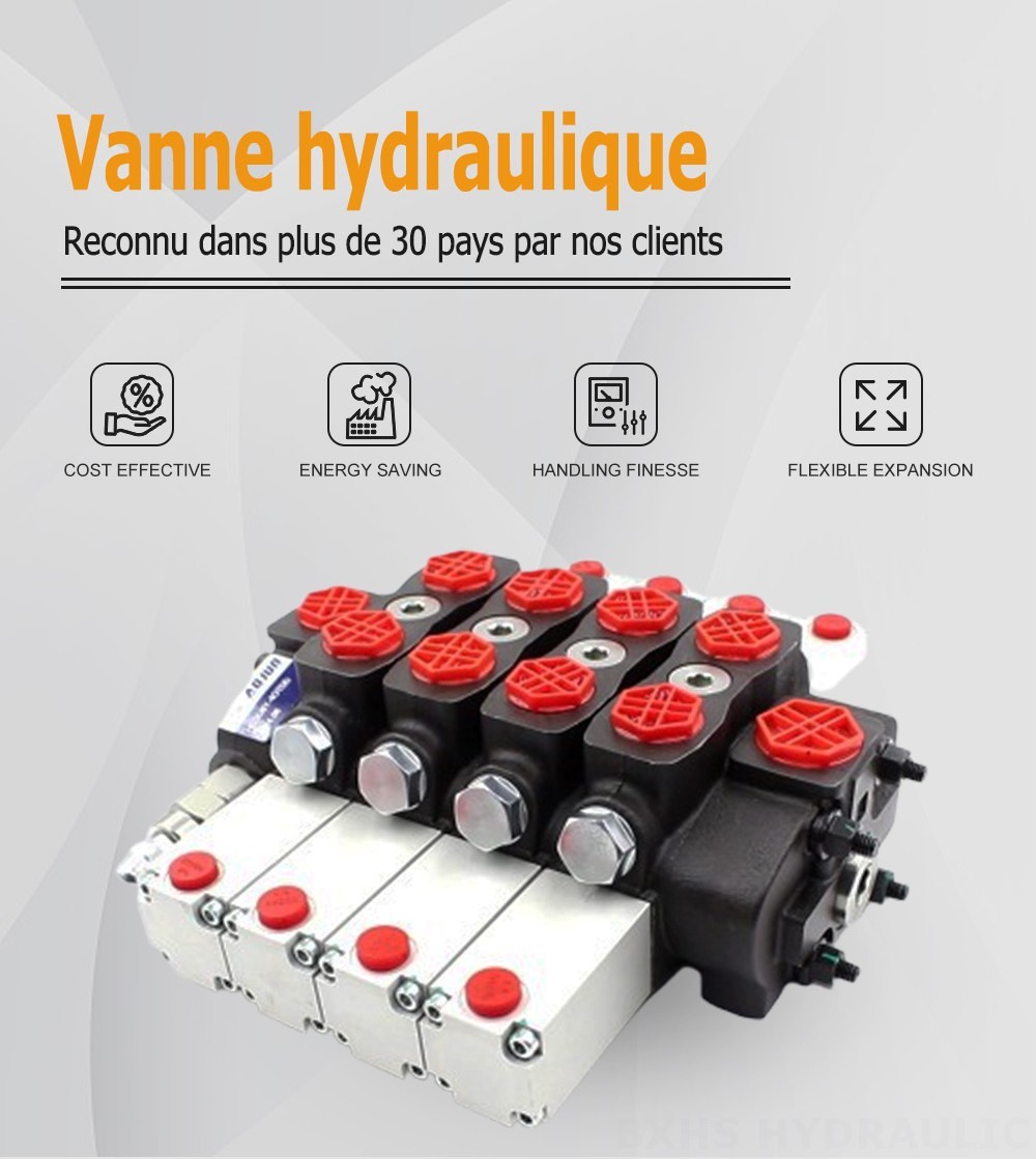 SD8 Hydraulique 4 distributeurs Distributeur directionnel sectionnel