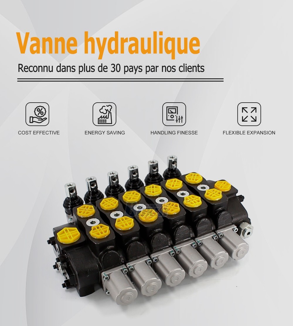 SD8 Manuel 6 tiroirs Distributeur directionnel sectionnel