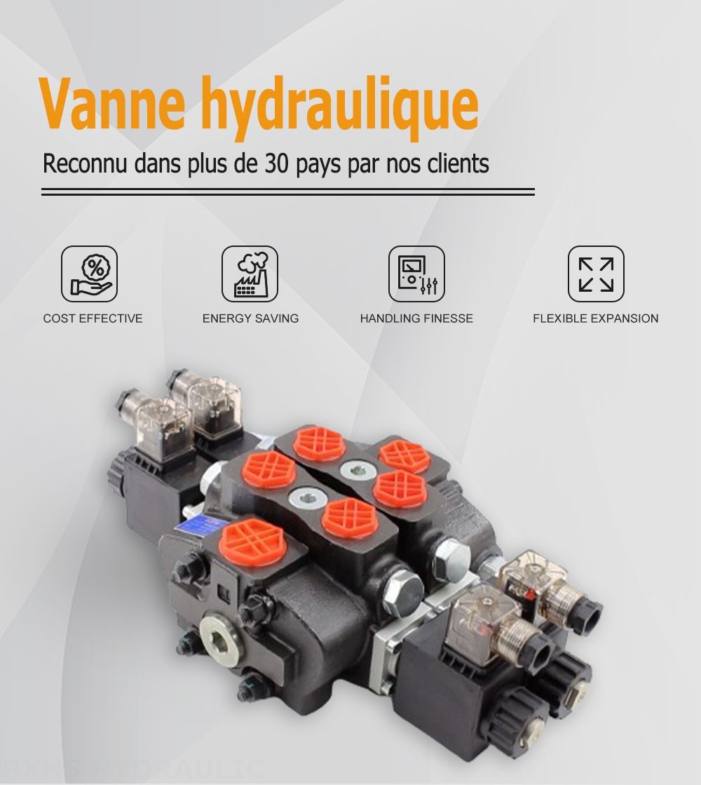 SD8 Solénoïde 2 distributeurs Distributeur directionnel sectionnel