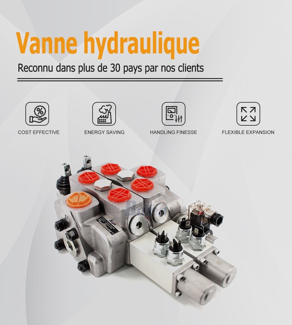 SDS180-PG2-2OTDD Manuel 2 tiroirs Distributeur directionnel sectionnel