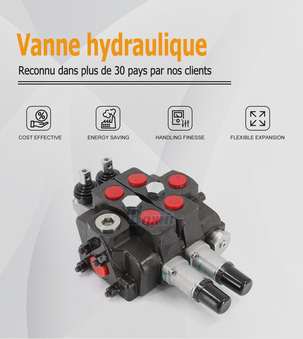 Durable SDS180T-2CB-OT 2 Spool Sectional Valve for Global Hydraulic Applications