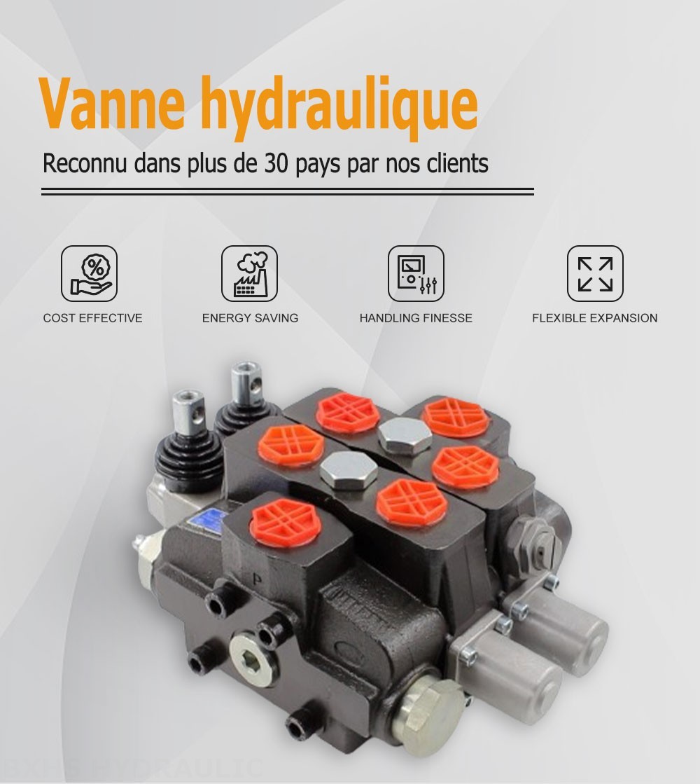 SDS180 Manuel 2 distributeurs Distributeur directionnel sectionnel