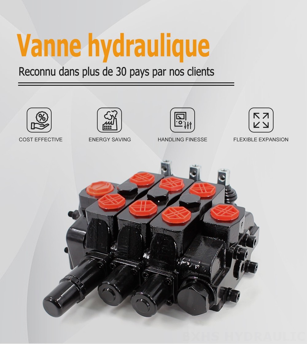SDS180 Hydraulique et manuel 3 distributeurs Distributeur directionnel sectionnel