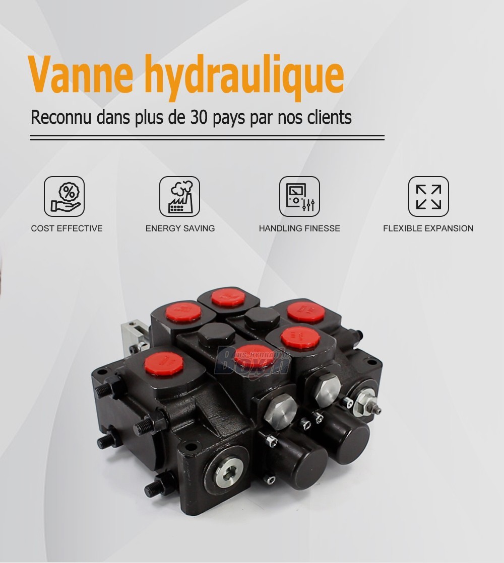 Wholesale Price from Manufacturer: SDS380-OT-OW 2 Spool Sectional Valve