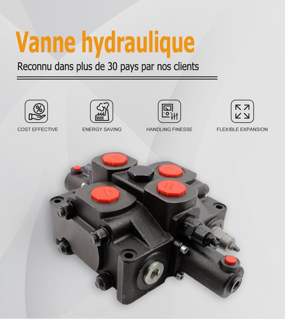 SDS380 Hydraulique 1 distributeur Distributeur directionnel sectionnel