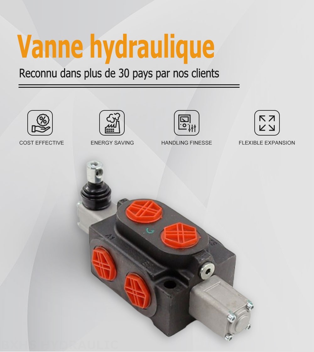 SHFY-G25L-00 Manuel 1 distributeur Distributeur directionnel monobloc