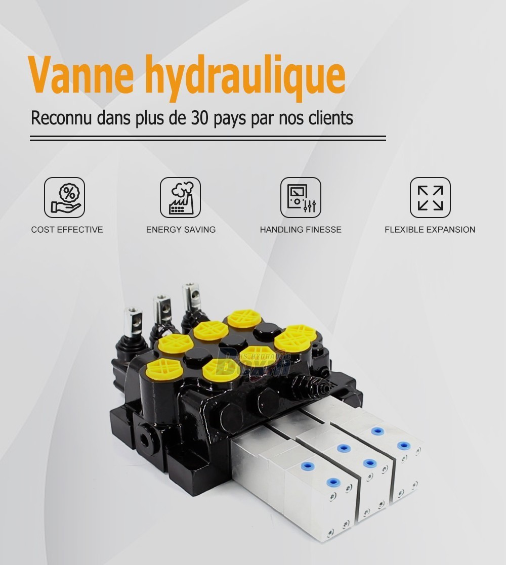 WZF-125 Pneumatique et manuel 3 tiroirs Vanne directionnelle monobloc