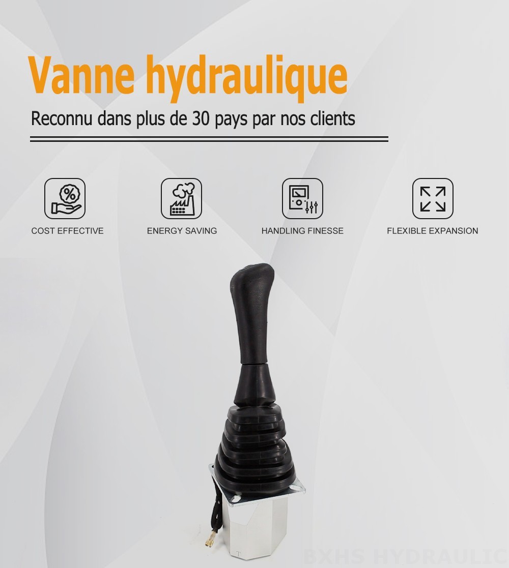 XDF-2 Manette 2 distributeurs Manette hydraulique