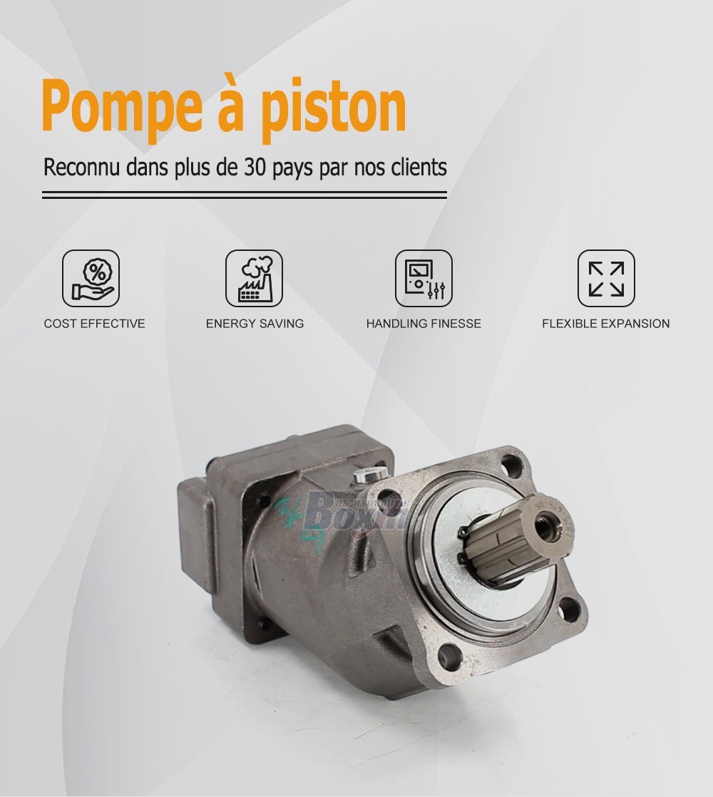 XPi-108L 108 cm³/tr 38 MPa (5511 psi) Pompe hydraulique à pistons