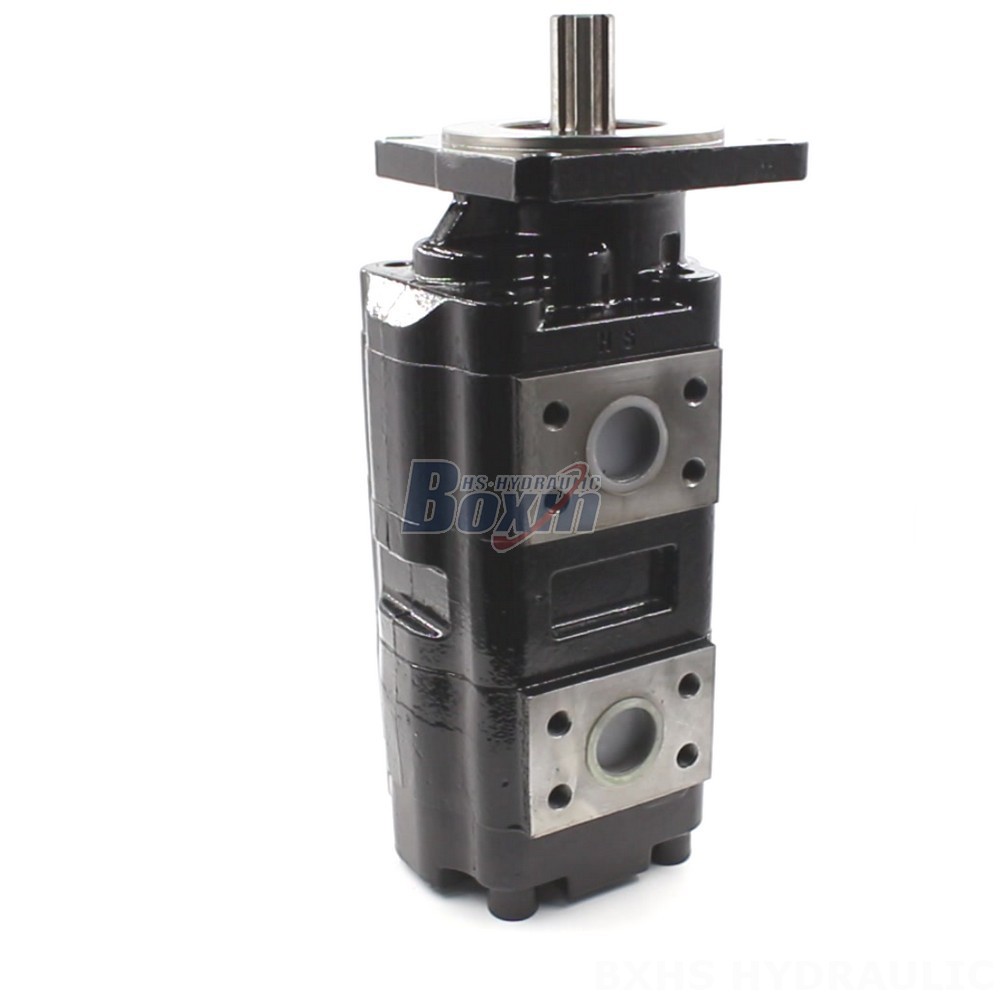 JHP2080-2080 Hydraulic Gear Pump: OEM & ODM Services Available main image