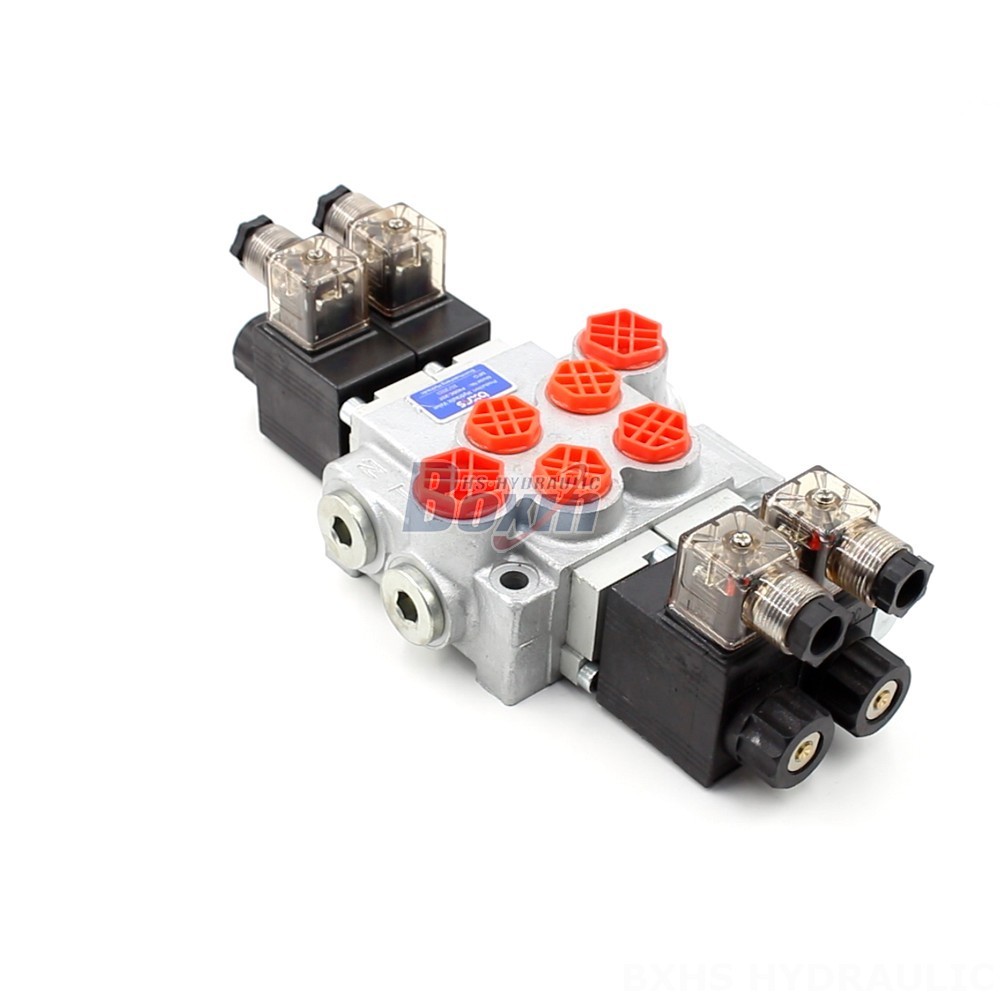 Manufacturer of P40-DKL Monoblock Valves: Wholesale & Customization Available main image